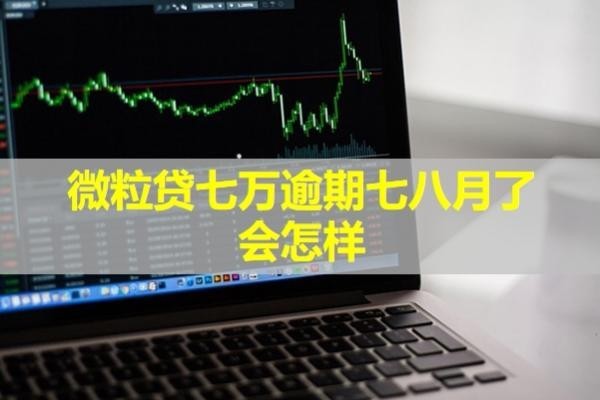 微粒貸七萬(wàn)逾期七八月了