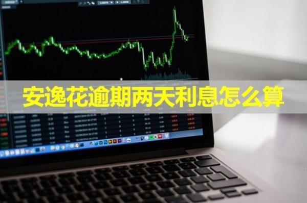 安逸花逾期兩天利息怎么算？詳細(xì)說明