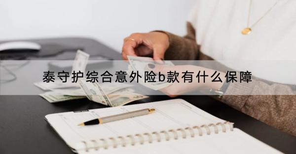 泰守護(hù)綜合意外險b款有什么保障？有什么優(yōu)缺點？