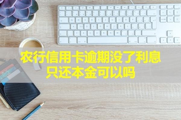 農(nóng)行信用卡逾期沒了利息只還本金可以嗎？快來看看