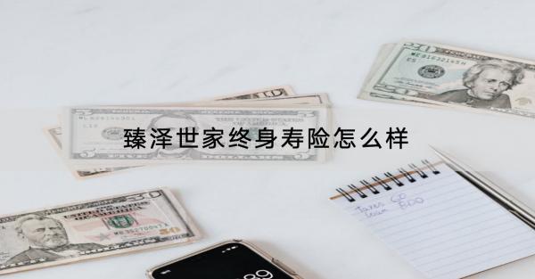 臻澤世家終身壽險(xiǎn)怎么樣？有哪些保障？