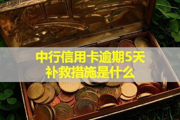 中行信用卡逾期5天補(bǔ)救措施是什么？可以這樣處理