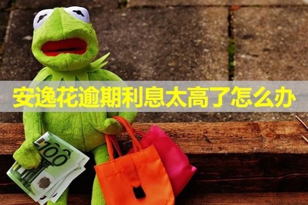 安逸花逾期利息太高了怎么辦？試試這樣做