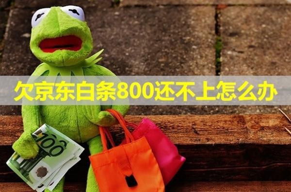 欠京東白條800還不上怎么辦？這樣處理