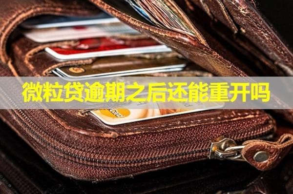 微粒貸逾期之后還能重開嗎？解析
