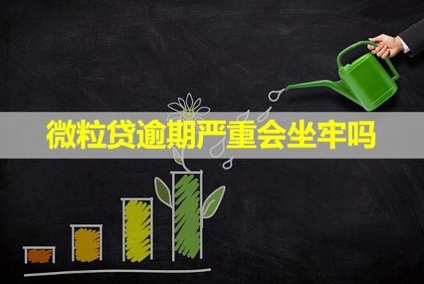 微粒貸逾期嚴重會坐牢嗎？答案不出所料