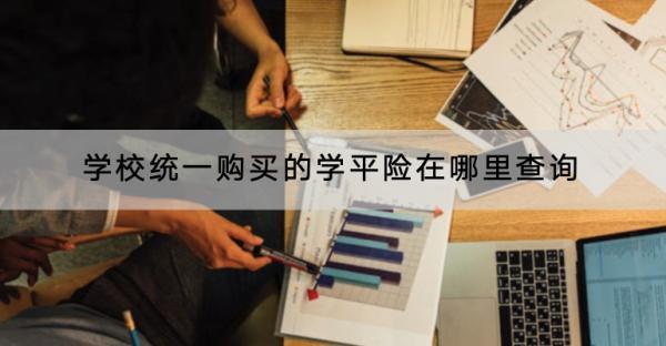 學(xué)校統(tǒng)一購買的學(xué)平險在哪里查詢