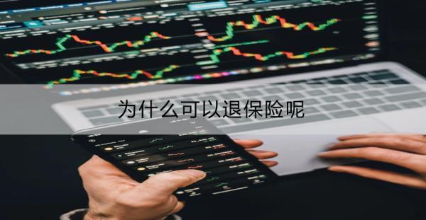 為什么可以退保險呢