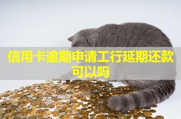 信用卡逾期申請工行延期還款可以嗎？詳細解析