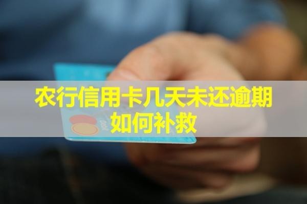 農(nóng)行信用卡幾天未還逾期如何補(bǔ)救？詳細(xì)說明