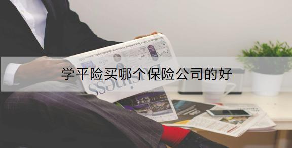 學(xué)平險買哪個保險公司的好？怎么購買？