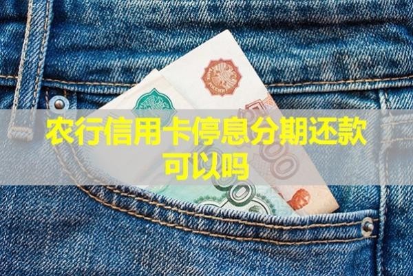 農(nóng)行信用卡停息分期還款可以嗎？揭秘