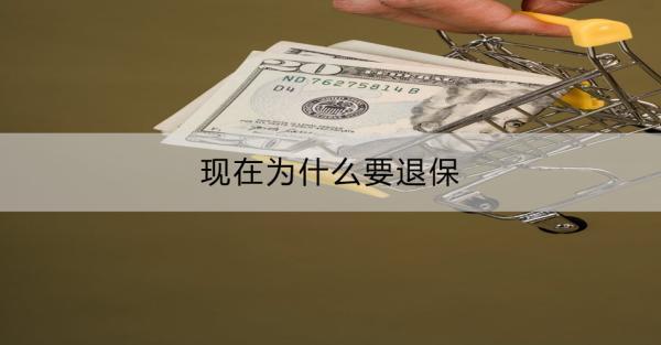 現(xiàn)在為什么要退保？一般能拿回幾成？