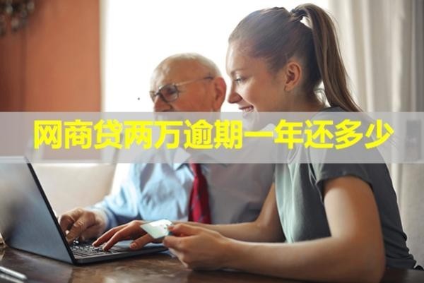網(wǎng)商貸兩萬逾期一年還多少？最新