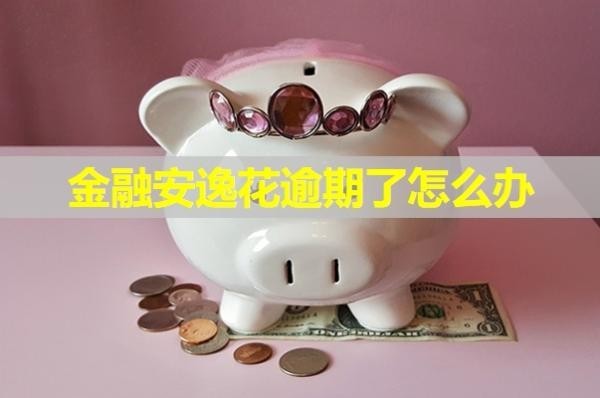 金融安逸花逾期了怎么辦