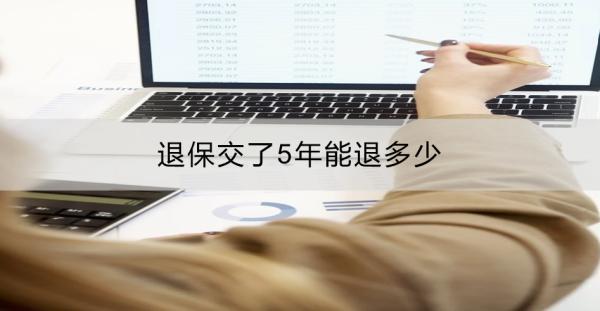 退保交了5年能退多少
