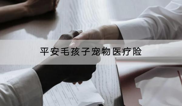 平安毛孩子寵物醫(yī)療險(xiǎn)