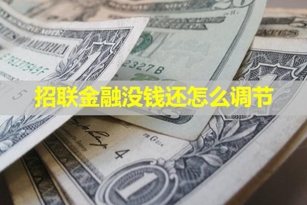 招聯(lián)金融沒錢還怎么調節(jié)