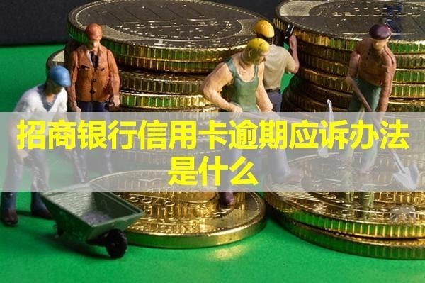 招商銀行信用卡逾期應(yīng)訴辦法是什么？詳細(xì)說明