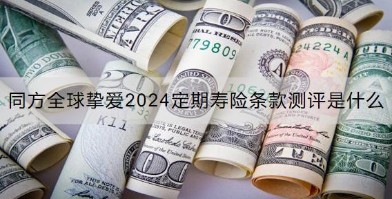 同方全球摯愛2024定期壽險條款測評是什么？保費多少？