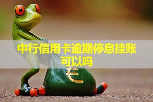 中行信用卡逾期停息掛賬可以嗎？最新