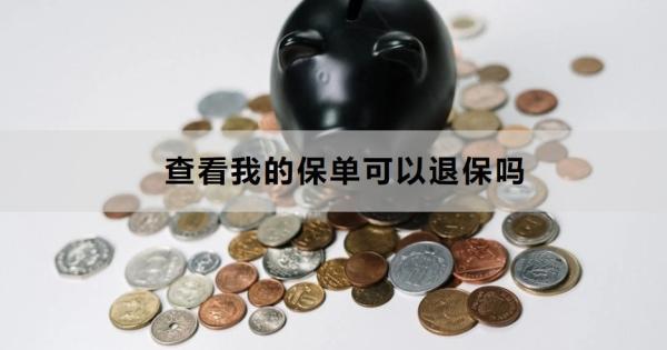 查看我的保單可以退保嗎？退保怎么退？