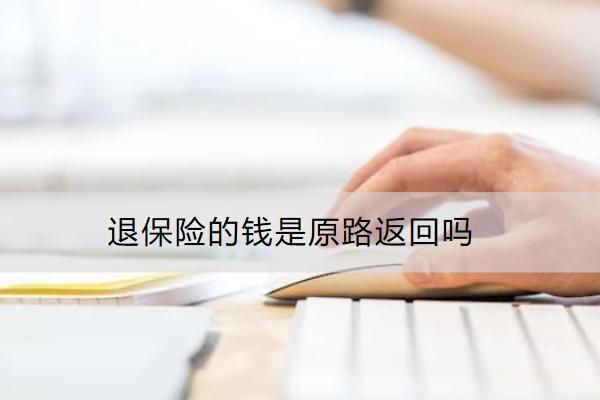 退保險的錢是原路返回嗎？能退多少？