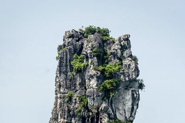 大都會花樣年華壽險有用嗎？多少錢？