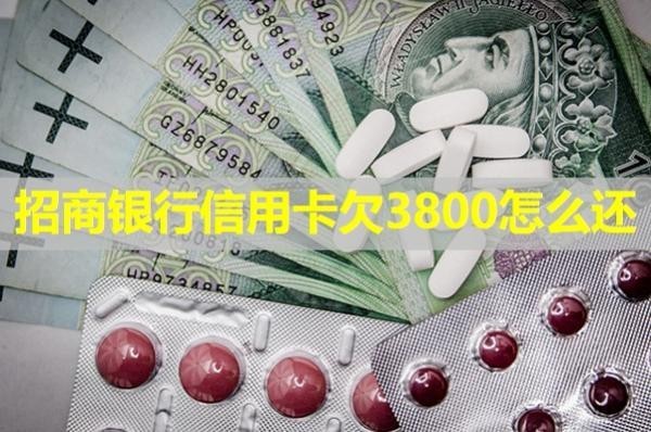招商銀行信用卡欠3800怎么還？詳細(xì)說(shuō)明