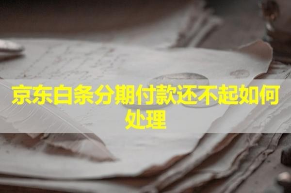 京東白條分期付款還不起