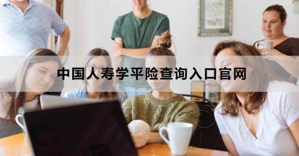 中國人壽學(xué)平險(xiǎn)查詢?nèi)肟诠倬W(wǎng)