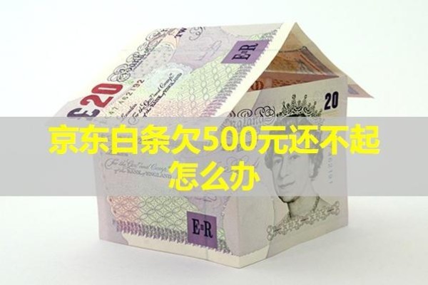 京東白條欠500元還不起怎么辦？具體分析