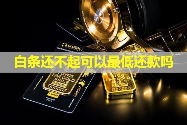 白條還不起可以最低還款嗎？詳細(xì)說明