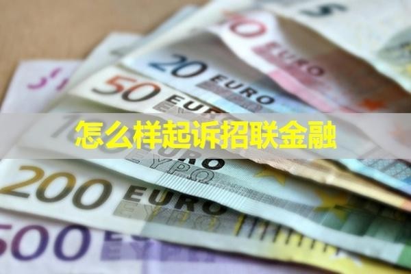 怎么樣起訴招聯(lián)金融？保姆級(jí)的教程來(lái)了