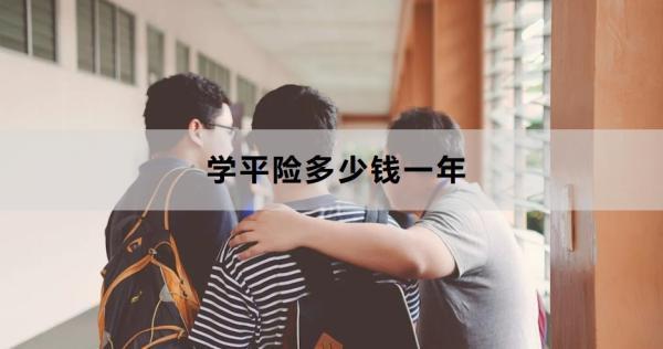 學(xué)平險多少錢一年？要怎么買呢？