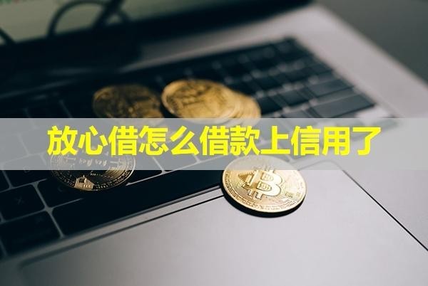 放心借怎么借款上信用了？存在這些問題