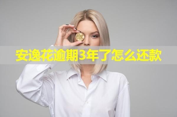 安逸花逾期3年了怎么還款？詳細說明