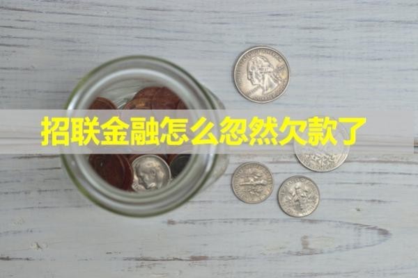 招聯(lián)金融怎么忽然欠款了？詳細說明