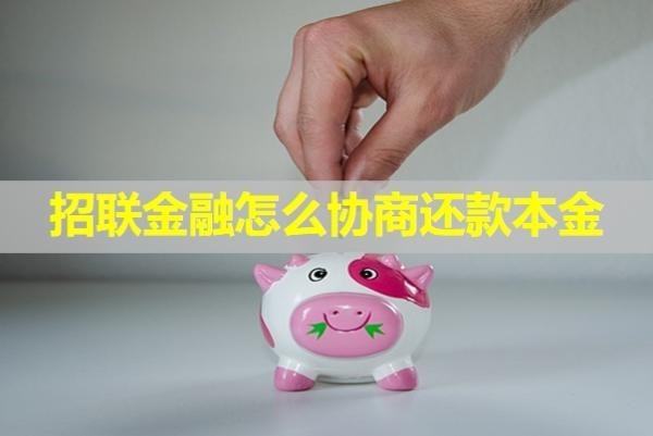 招聯(lián)金融怎么協(xié)商還款本金？具體分析