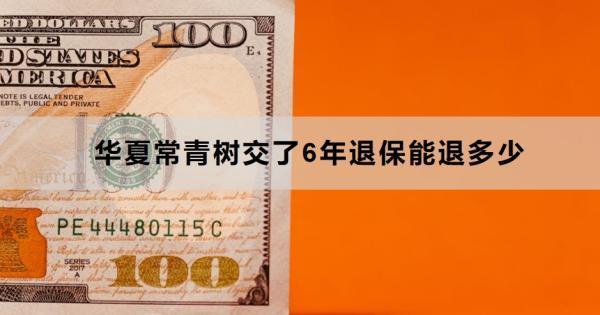 華夏常青樹(shù)交了6年退保能退多少？退保怎么退？