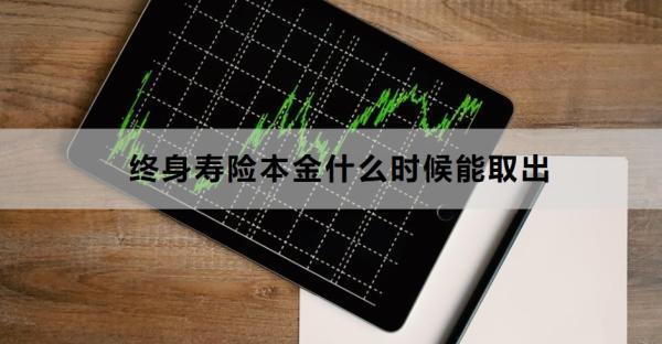 終身壽險(xiǎn)本金什么時(shí)候能取出？適合什么人買？