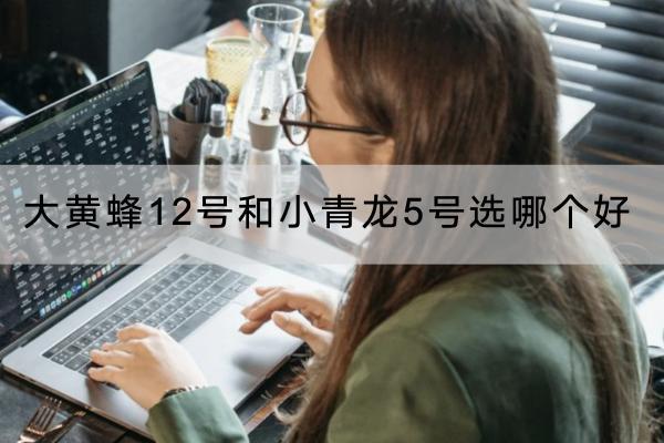 大黃蜂12號和小青龍5號選哪個(gè)好？各有什么特色的保障？