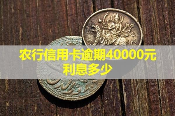 農(nóng)行信用卡逾期40000元利息多少？快來看