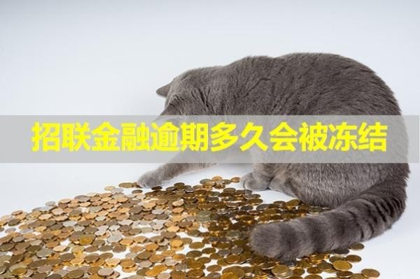 招聯(lián)金融逾期多久會被凍結(jié)銀行卡？這個時間很重要