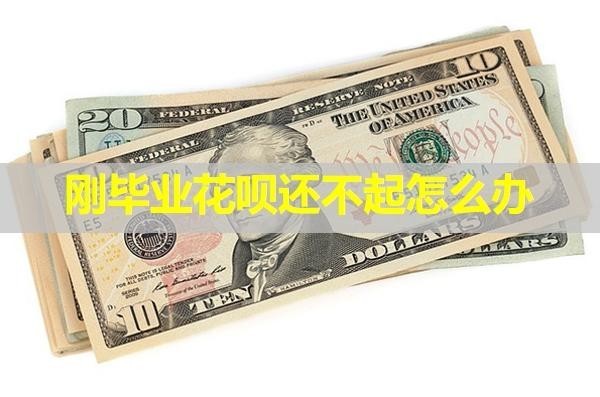 剛畢業(yè)花唄還不起怎么辦？教你幾招