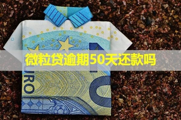 微粒貸逾期50天還款嗎？做好這幾步
