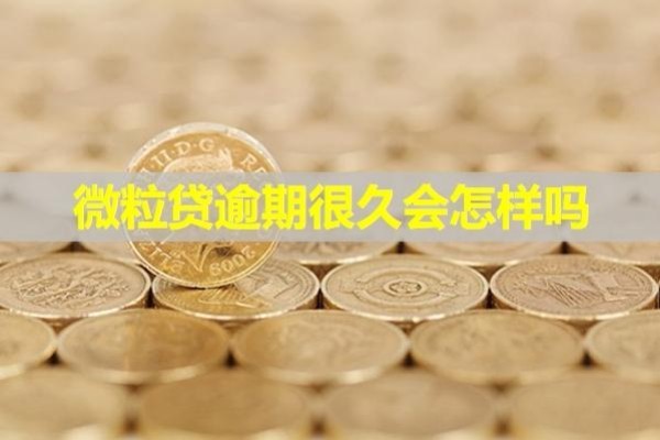 微粒貸逾期很久會怎樣嗎？