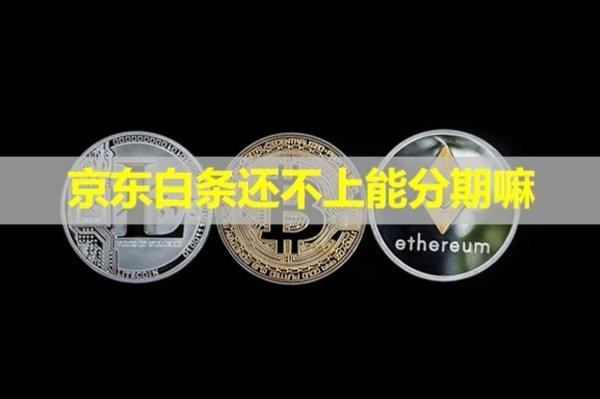 京東白條還不上能分期嘛？
