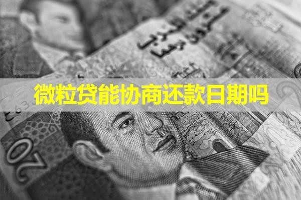 微粒貸能協(xié)商還款日期嗎？多角度分析