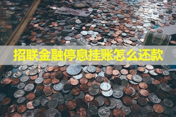 招聯(lián)金融停息掛賬怎么還款？